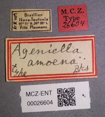 Media type: image;   Entomology 26604 Aspect: labels